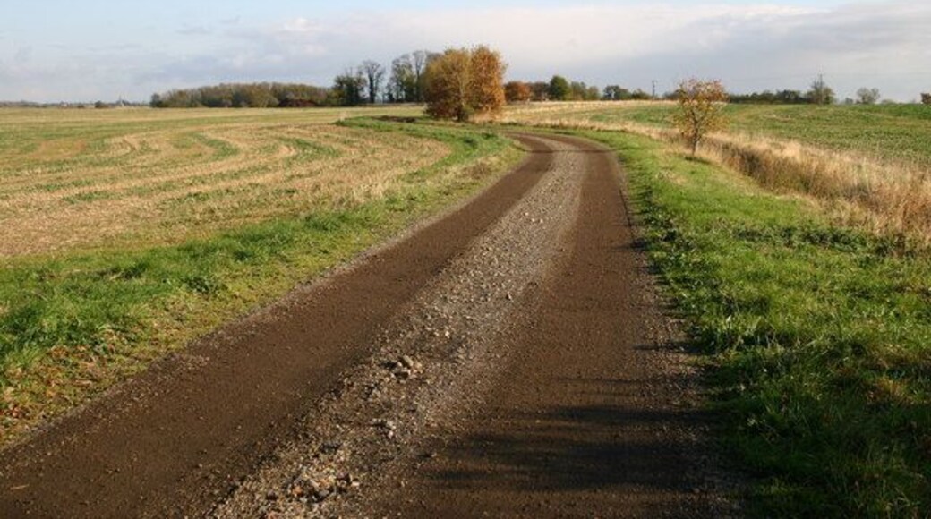 Track up to Rectory Farm Track and footpath to Rectory Farm