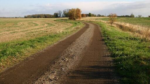 Track up to Rectory Farm Track and footpath to Rectory Farm