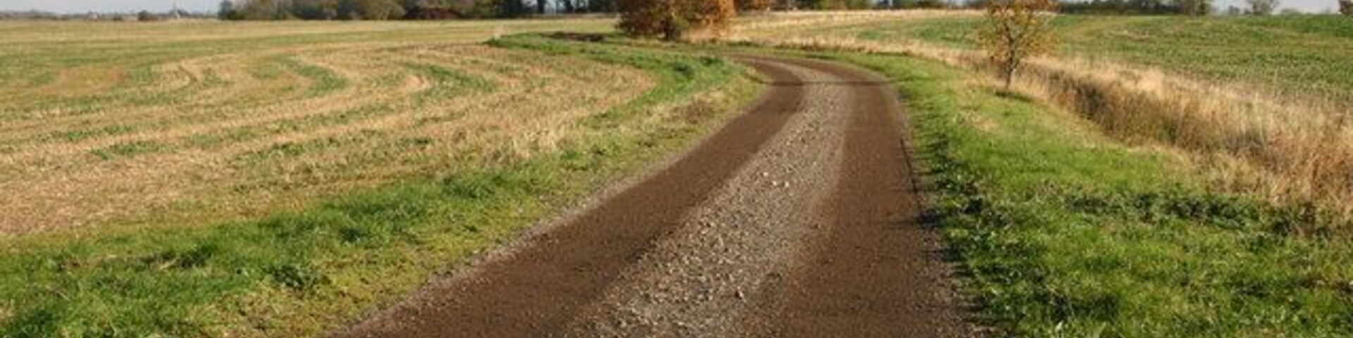 Track up to Rectory Farm Track and footpath to Rectory Farm