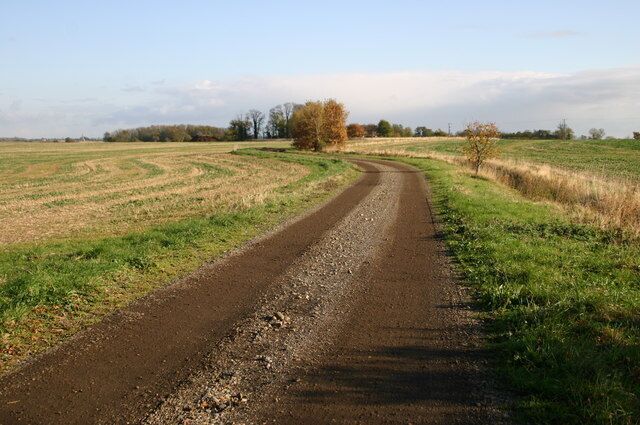A rural dirt road curving through fields with sparse trees and a clear sky.