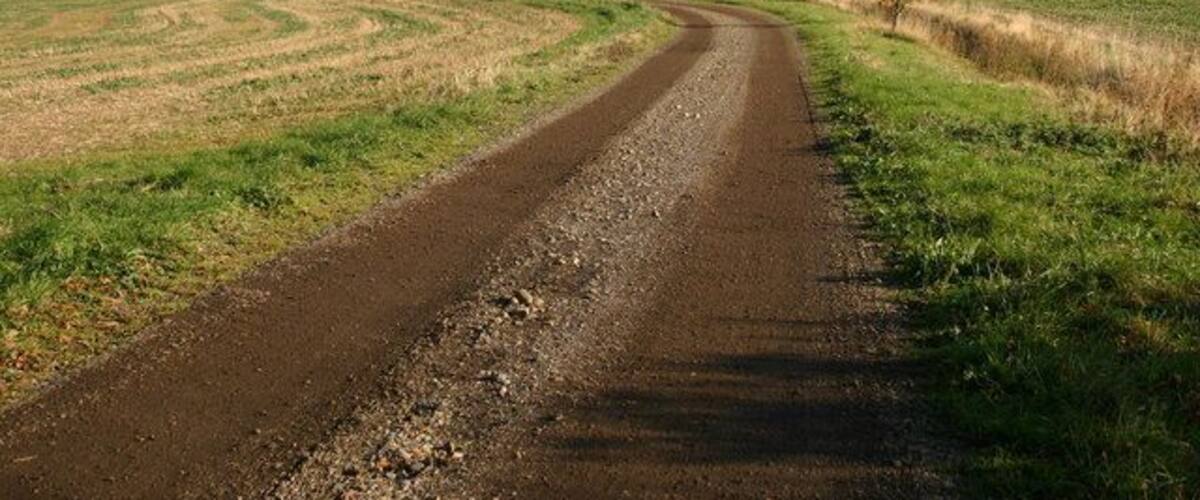 A rural dirt road curving through fields with sparse trees and a clear sky.
