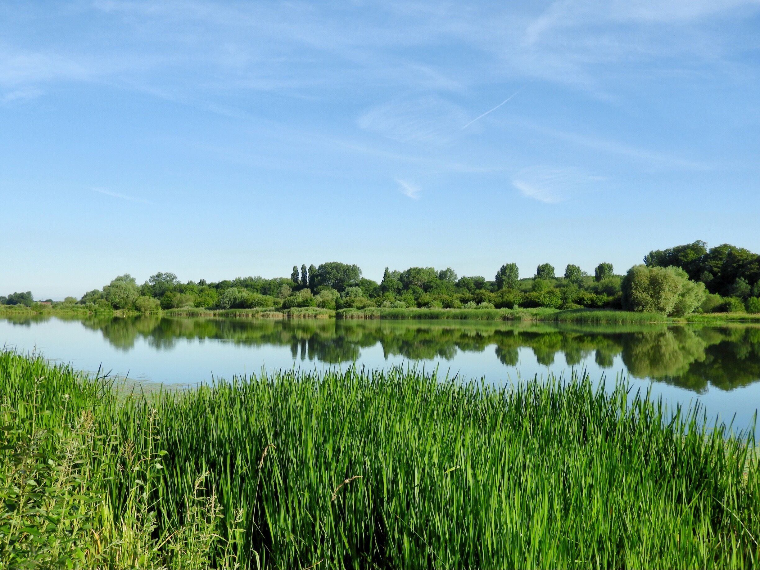 Beautiful park with Woodland, Meadows and lakes. Great place for children to discover nature.