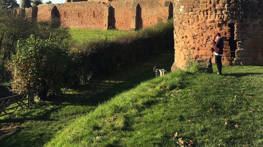 Historic Warwickshire on our door step. Kenilworth Castle