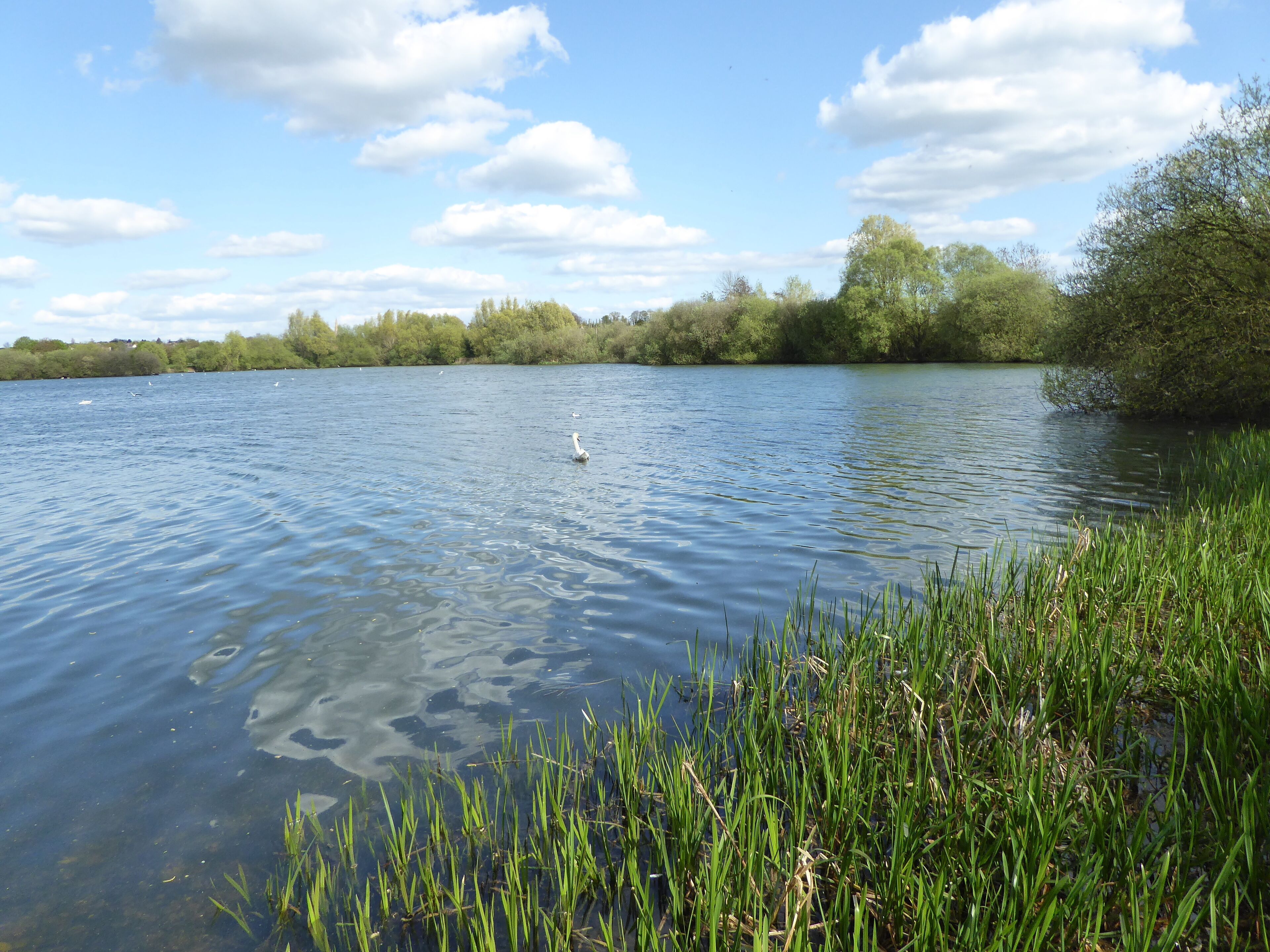 Kinewell Lake is a Local Nature Reserve west of Ringstead in Northamptonshire.