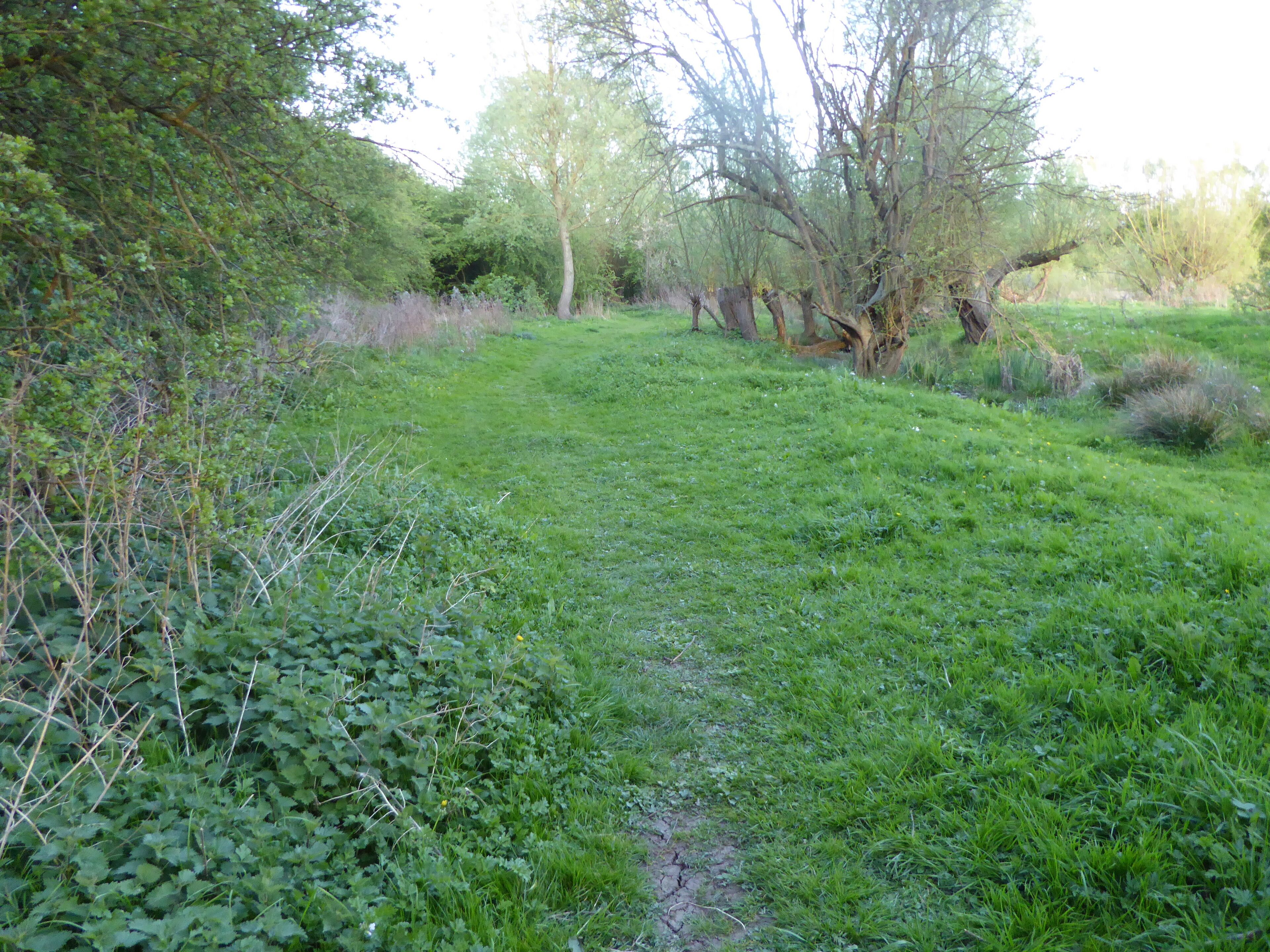 Southfield Farm Marsh is a biological Site of Special Scientific Interest in Kettering in Northamptonshire. Part of it is managed by the Wildlife Trust for Bedfordshire, Cambridgeshire and Northamptonshire.