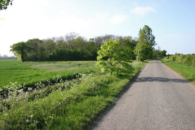 Minor road and copse