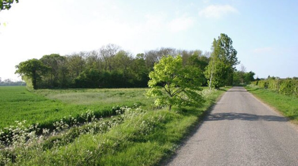 Minor road and copse