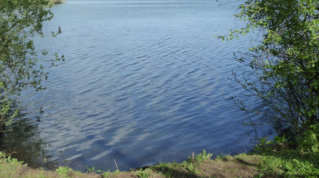 Kinewell Lake is a Local Nature Reserve west of Ringstead in Northamptonshire.