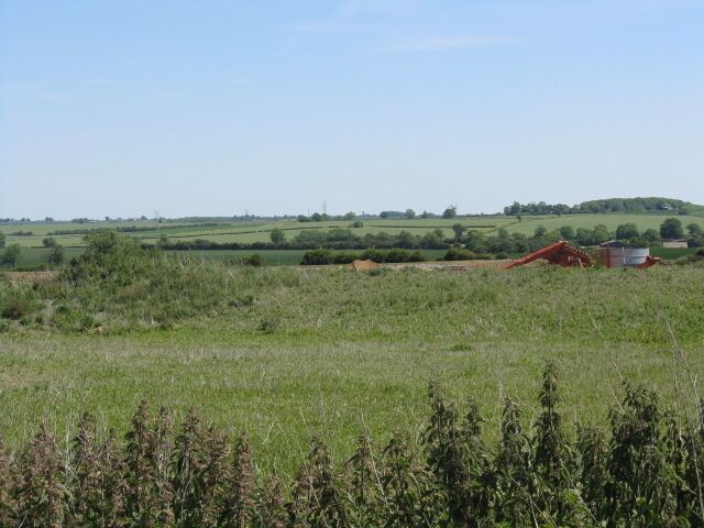 Fields East Of Thrapston