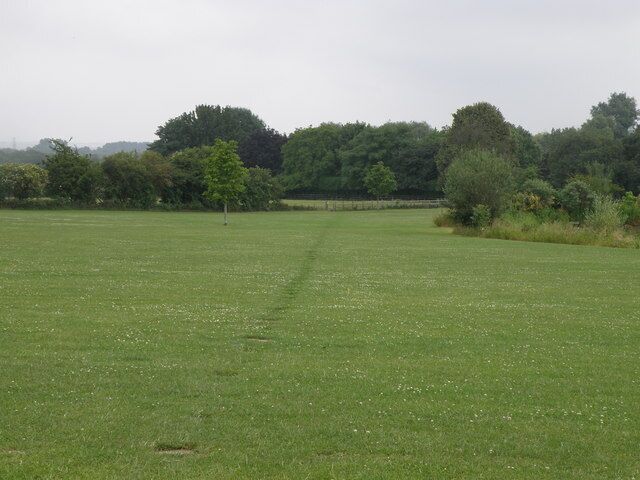 A wide, open grassy field with a line of trees in the distance.