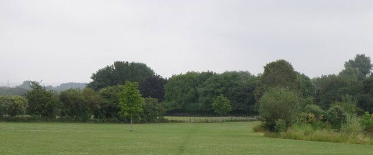A wide, open grassy field with a line of trees in the distance.