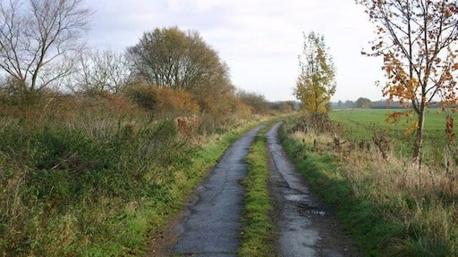 Lane near Clopton Lane running North West from Clopton heading to join Gibbet Lane