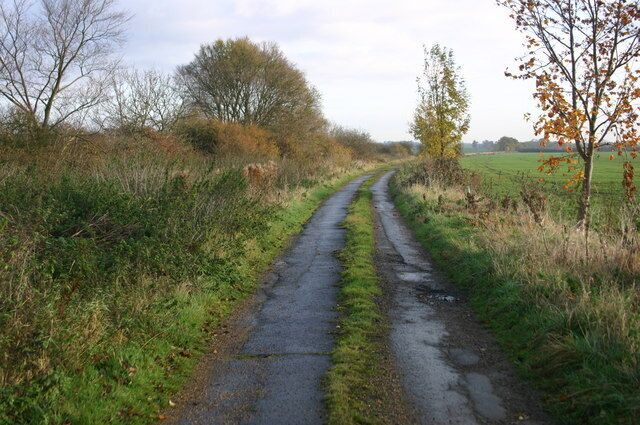 A narrow rural road flanked by grass and trees, leading into the distance.