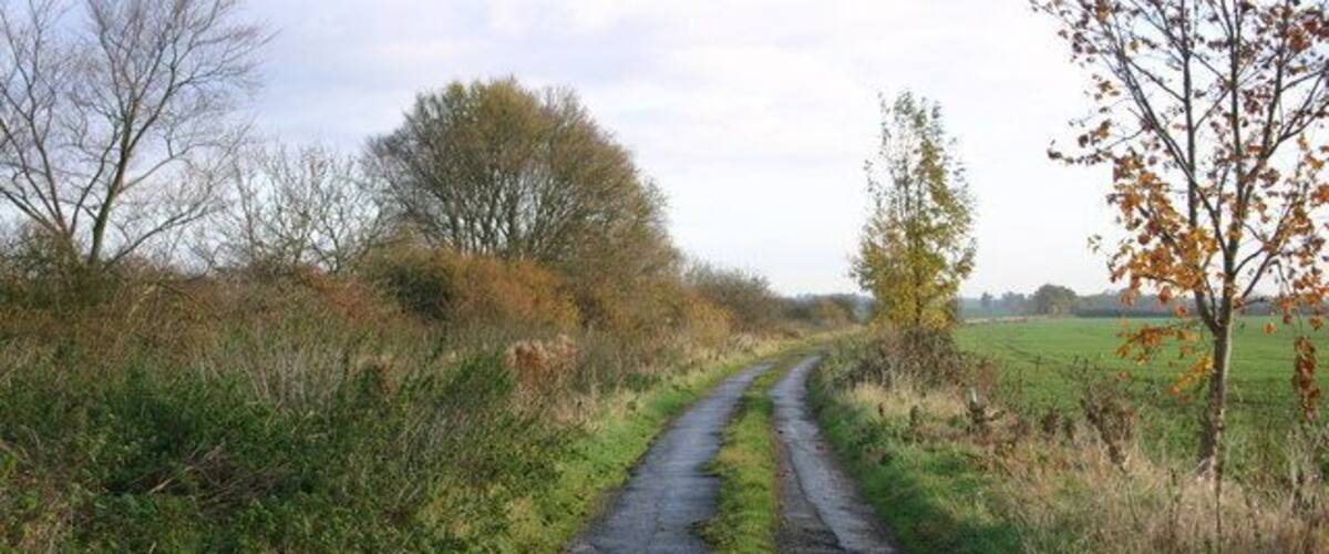 A narrow rural road flanked by grass and trees, leading into the distance.