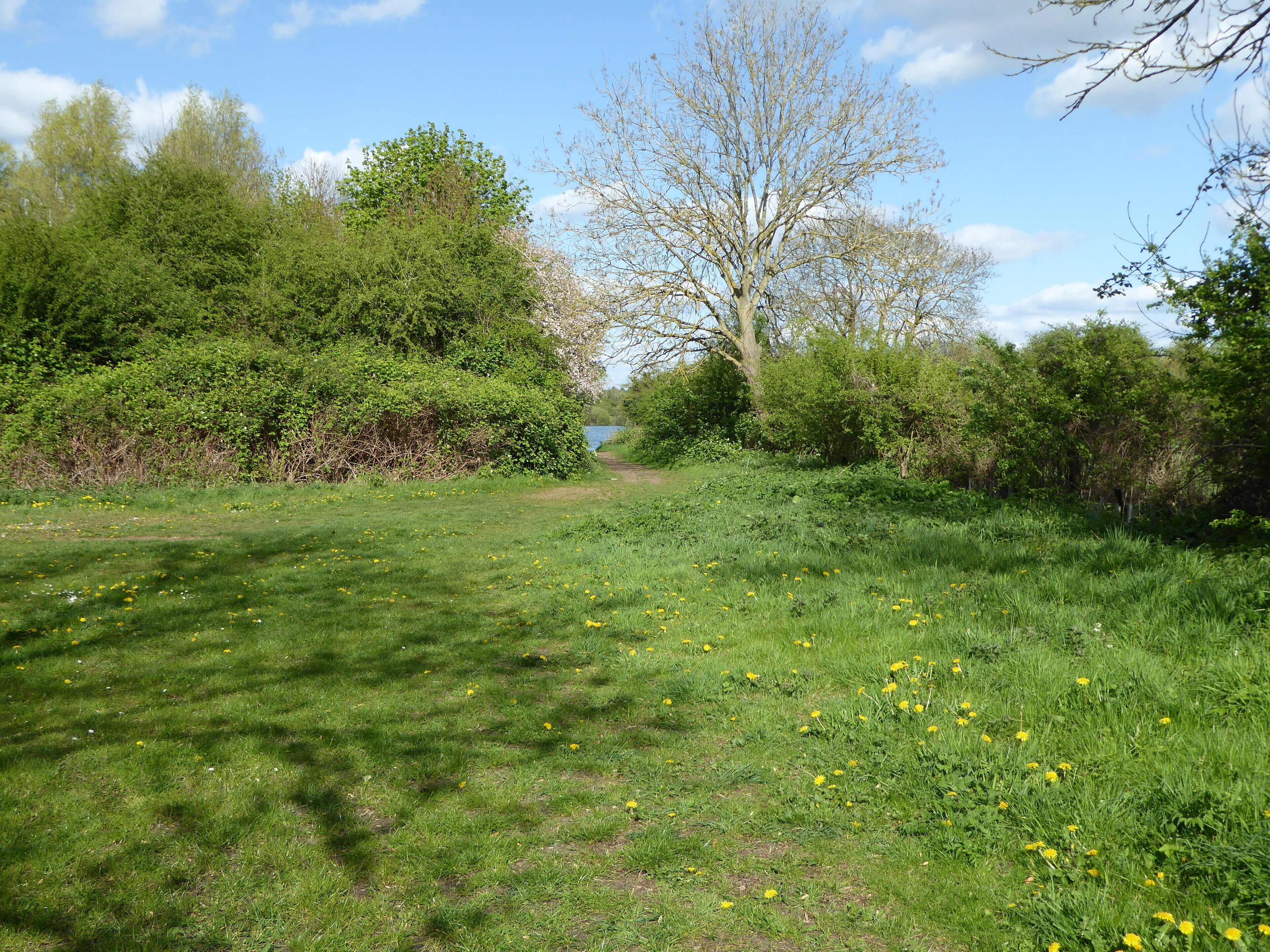 Kinewell Lake is a Local Nature Reserve west of Ringstead in Northamptonshire.