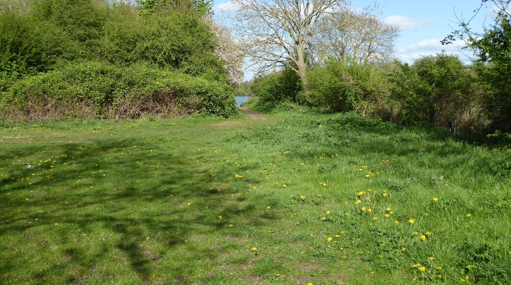 Kinewell Lake is a Local Nature Reserve west of Ringstead in Northamptonshire.