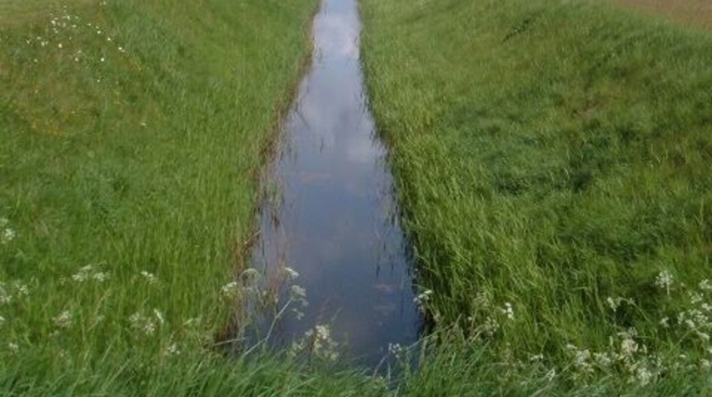 Drainage dyke on Magdalen Road One of many dykes that keep the area's farmland drained.
