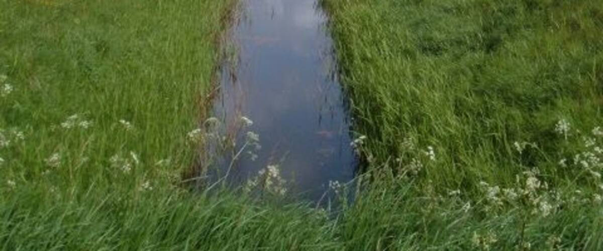 A narrow water channel in a rural landscape with green fields and a clear sky.