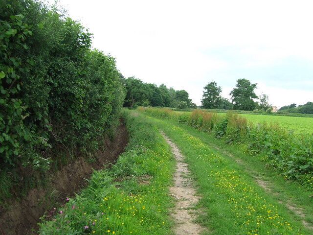 Towards Dunham Lodge Footpath looking west with Dunham Lodge just visible on the right near to Great Fransham Norfolk.