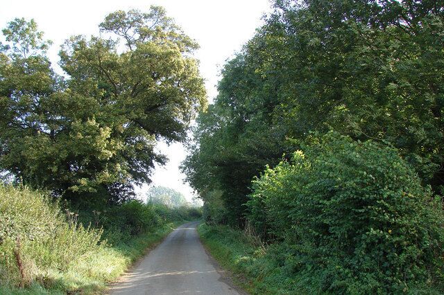 By Road - West of the B1153 Looking East-North-East. This short stretch of road is just within the relevant grid square - the narrow copse on the right starts here and runs on around the bend and into the next square.