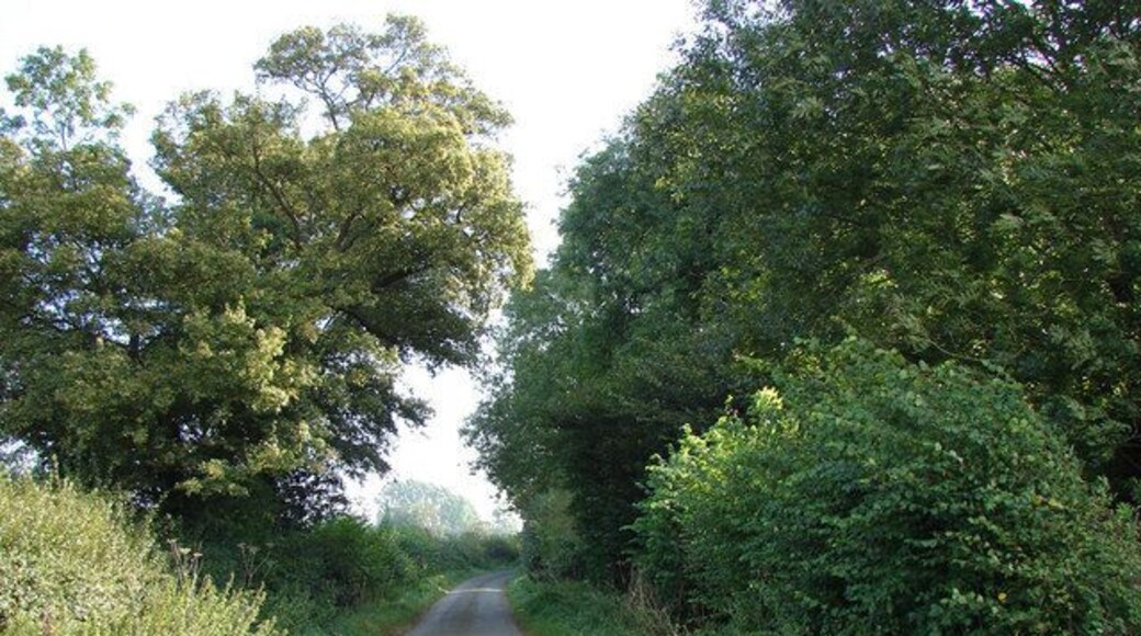 By Road - West of the B1153 Looking East-North-East. This short stretch of road is just within the relevant grid square - the narrow copse on the right starts here and runs on around the bend and into the next square.