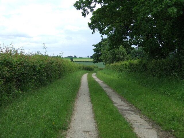 Farm road A neat and good quality farm road looking east near to Little Dunham Norfolk.