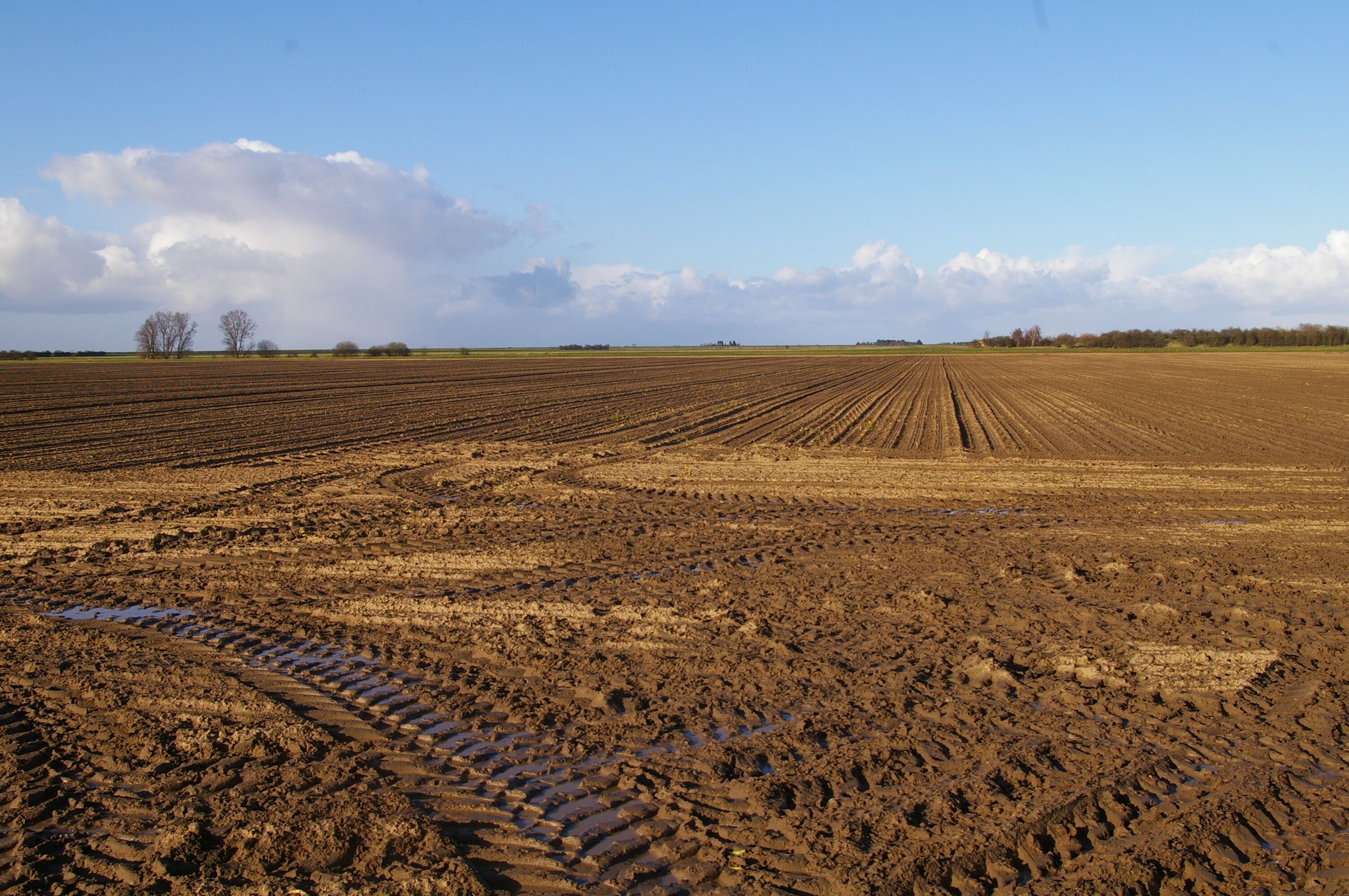 A muddy field with tire tracks and a clear sky.
