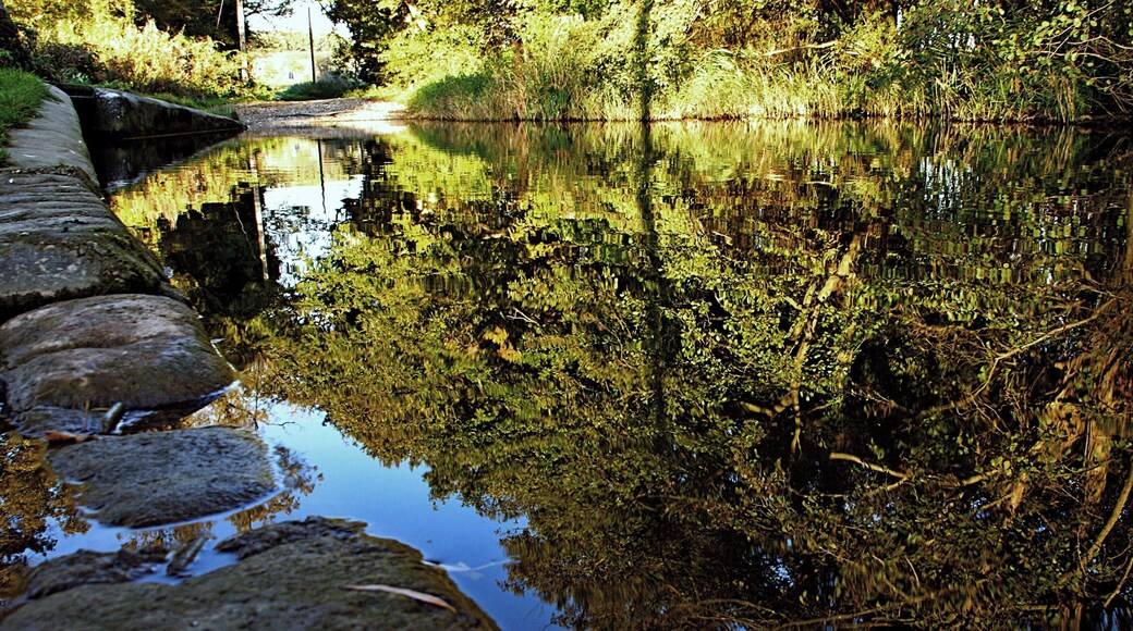 A little walk changed to fantastic photo adventure. Many picks taken absolutely spontaneously, without any preparation. Just me, loved wife and camera.