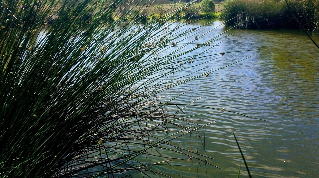 #TakeAHike to the bog!