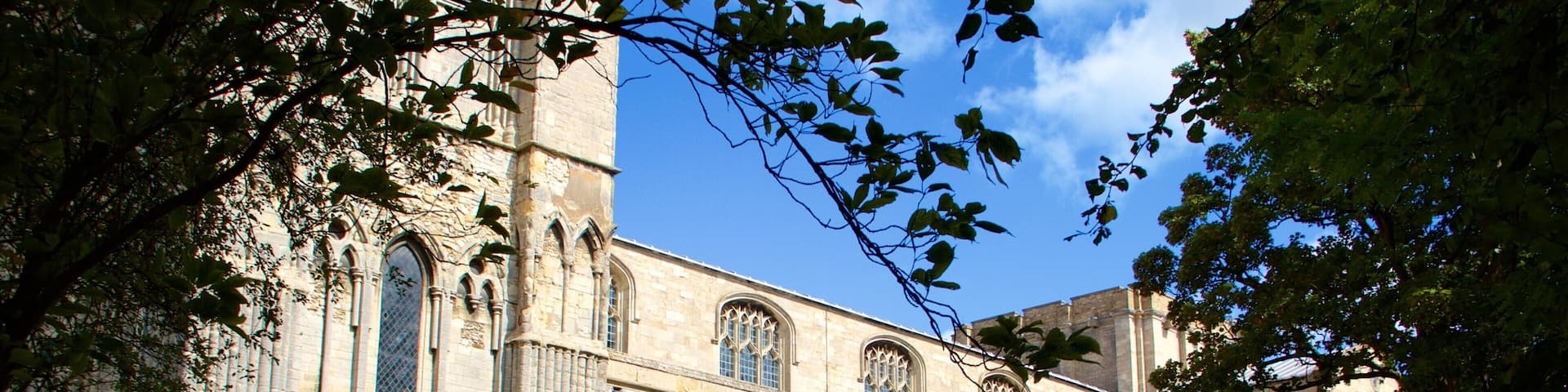 King\'s Lynn das einen Kirche oder Kathedrale und historische Architektur