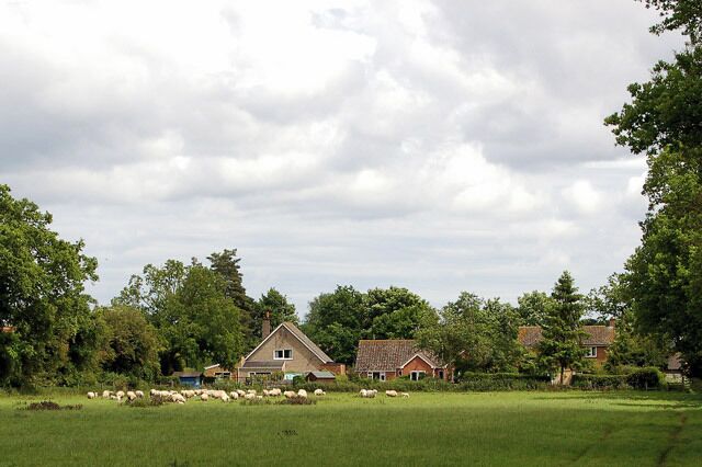 The western outskirt of Gayton Looking east from a sheepfield towards houses on Winch Road, Gayton.