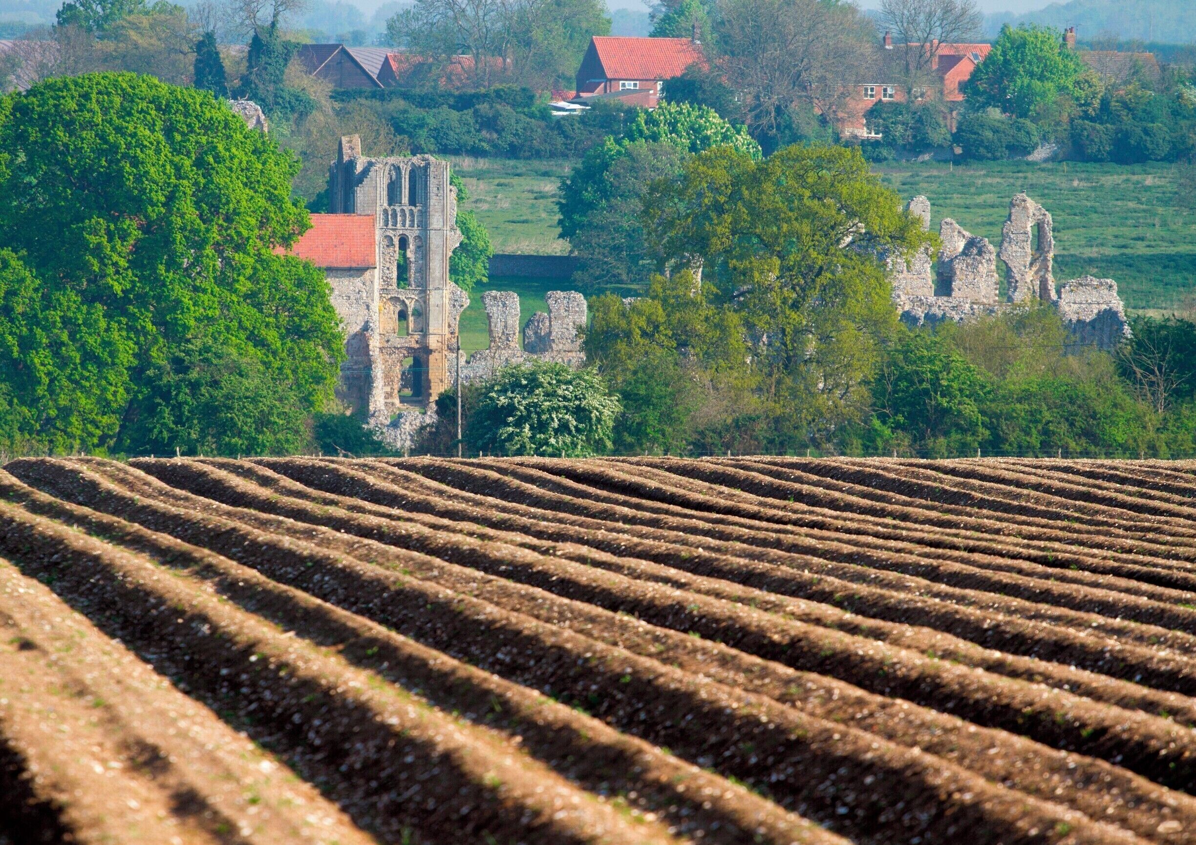 View of the priory from across potato fields . 
