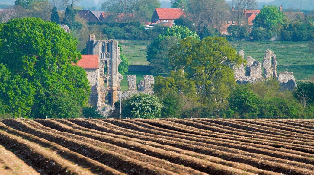 View of the priory from across potato fields .