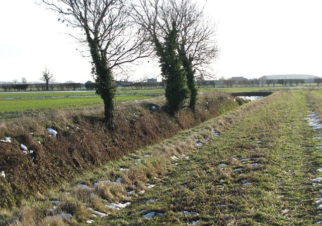 Ditch separating fields west of Barton Bendish