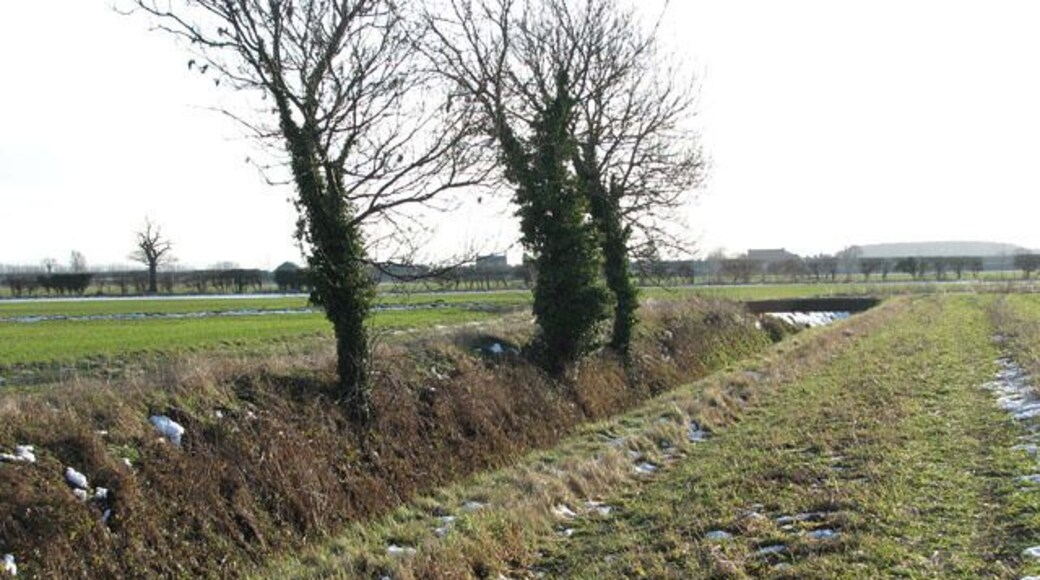 Ditch separating fields west of Barton Bendish