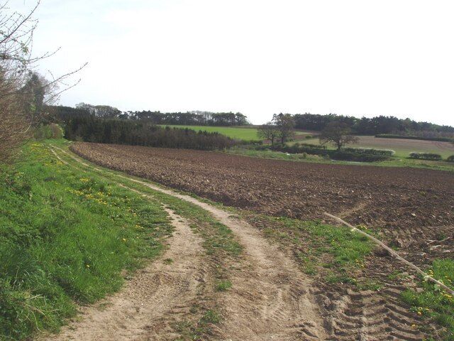Farm track Just off the A 1067 is the lane to East Lexham. This is typical of rural Norfolk, open farmland that rarely changes from year to year, except for the crops. It's just 52 metres above sea level.