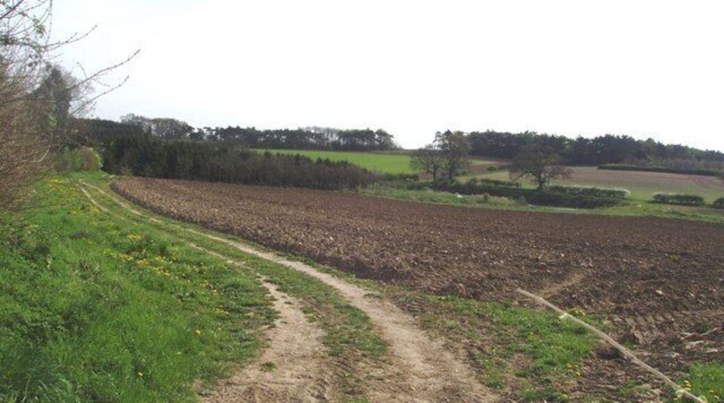 Farm track Just off the A 1067 is the lane to East Lexham. This is typical of rural Norfolk, open farmland that rarely changes from year to year, except for the crops. It's just 52 metres above sea level.