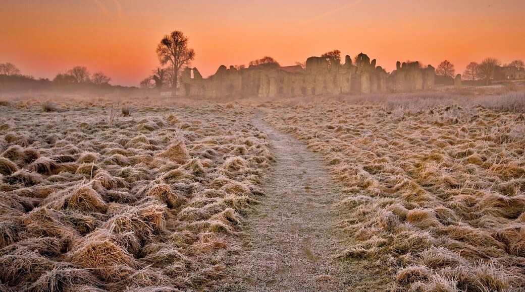Frosty morning at the priory