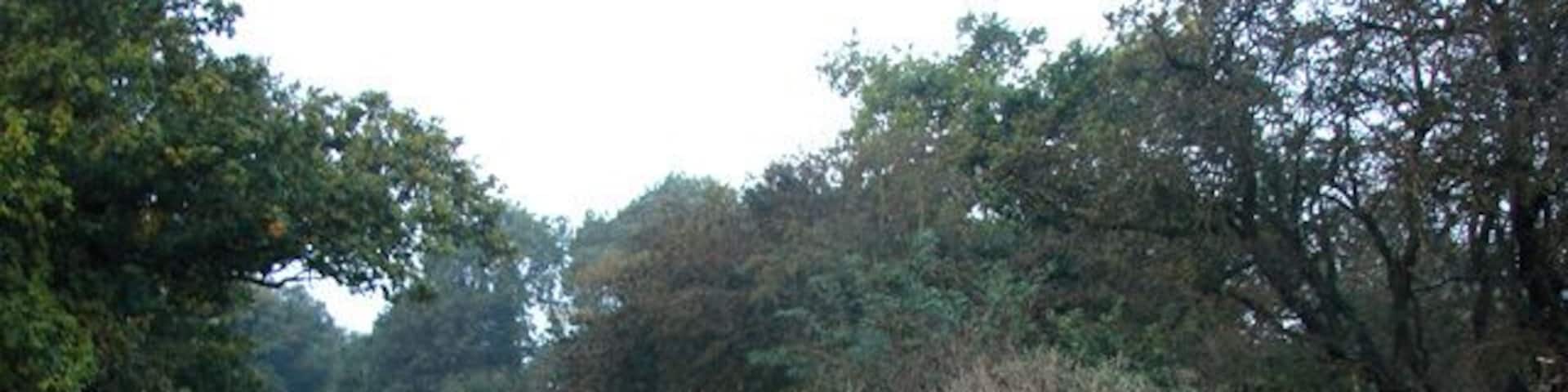 Country road east of Gayton Thorpe Looking south-west. This is about 2km east of Gayton Thorpe, Norfolk.