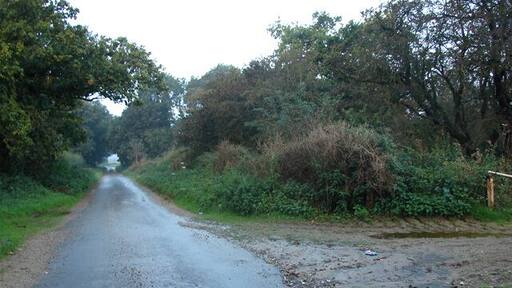 Country road east of Gayton Thorpe Looking south-west. This is about 2km east of Gayton Thorpe, Norfolk.