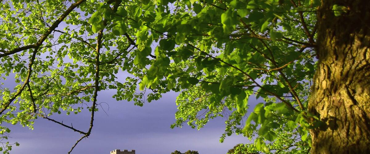 St. Peters Church Wolferton