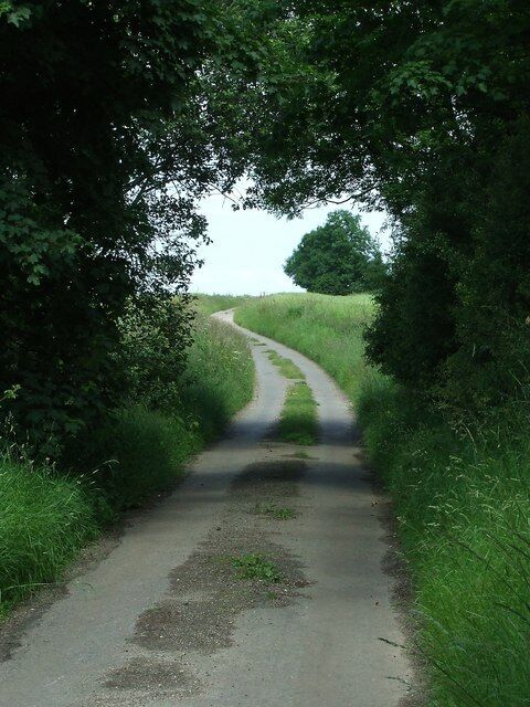 Through the trees Looking northeast through trees at quiet country road near to Little Dunham Norfolk.
