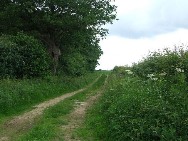 Sporle Wood Public footpath looking west with the northern edge of Sporle Wood on the left near to Little Dunham Norfolk.