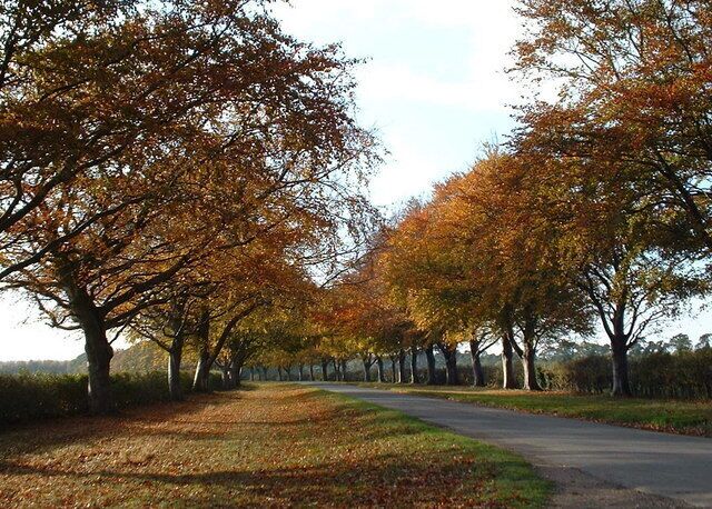 Autumn time along Kings Avenue, Sandringham.