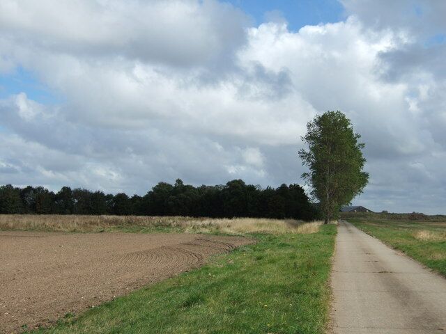 Farm road to The Wash One of the many well maintained concrete roads giving access to this vast area of reclaimed land on the edge of the wash north of Terrington St Clement