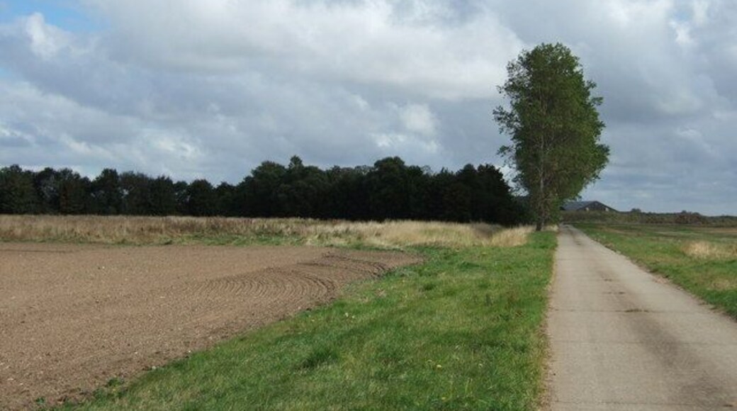 Farm road to The Wash One of the many well maintained concrete roads giving access to this vast area of reclaimed land on the edge of the wash north of Terrington St Clement