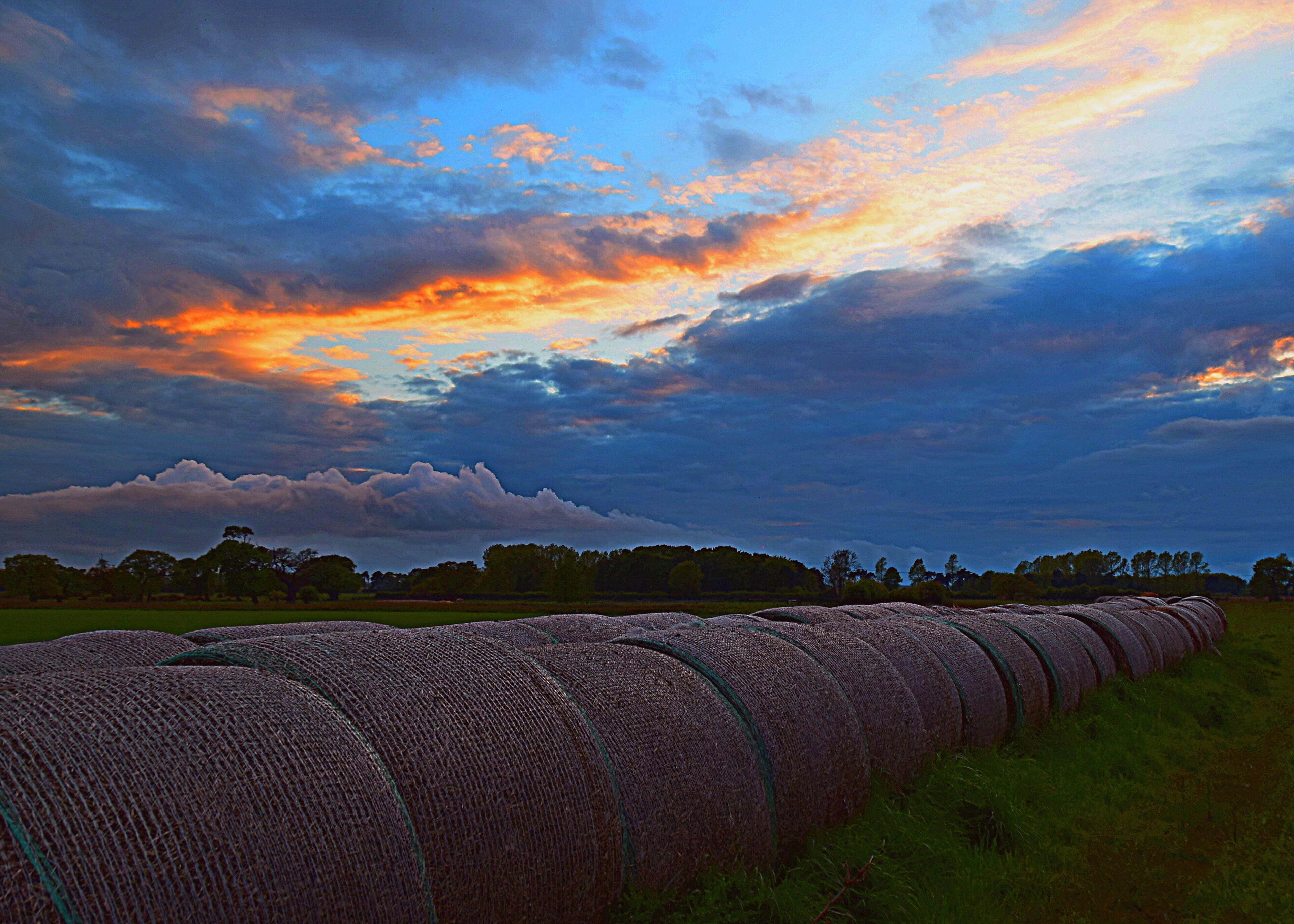 Evening in Wolferton