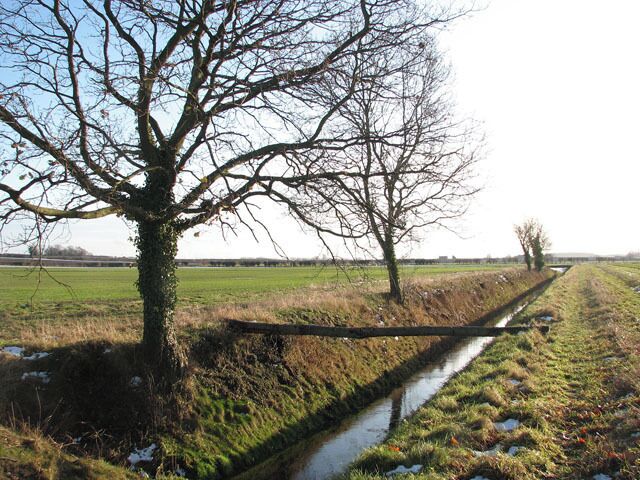 Tree trunk across drainage ditch A tree trunk has been put across the ditch; I am not sure whether it is meant to serve as a footbridge since no path is crossing here.