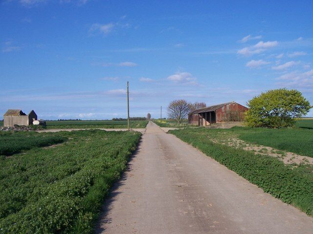 View along road leading North-east of Sharpe's Bank Crown Estate road leading through Wingland Marsh.