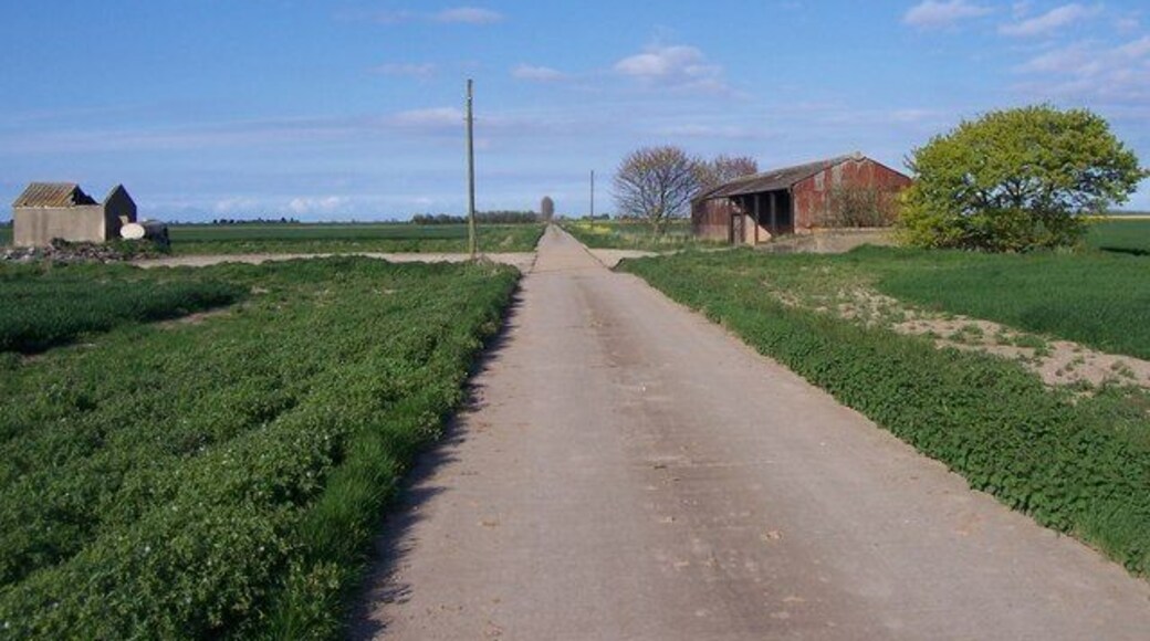 View along road leading North-east of Sharpe's Bank Crown Estate road leading through Wingland Marsh.